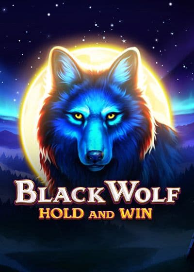 True Fortune Slot Review: A New Zealand Player’s Guide